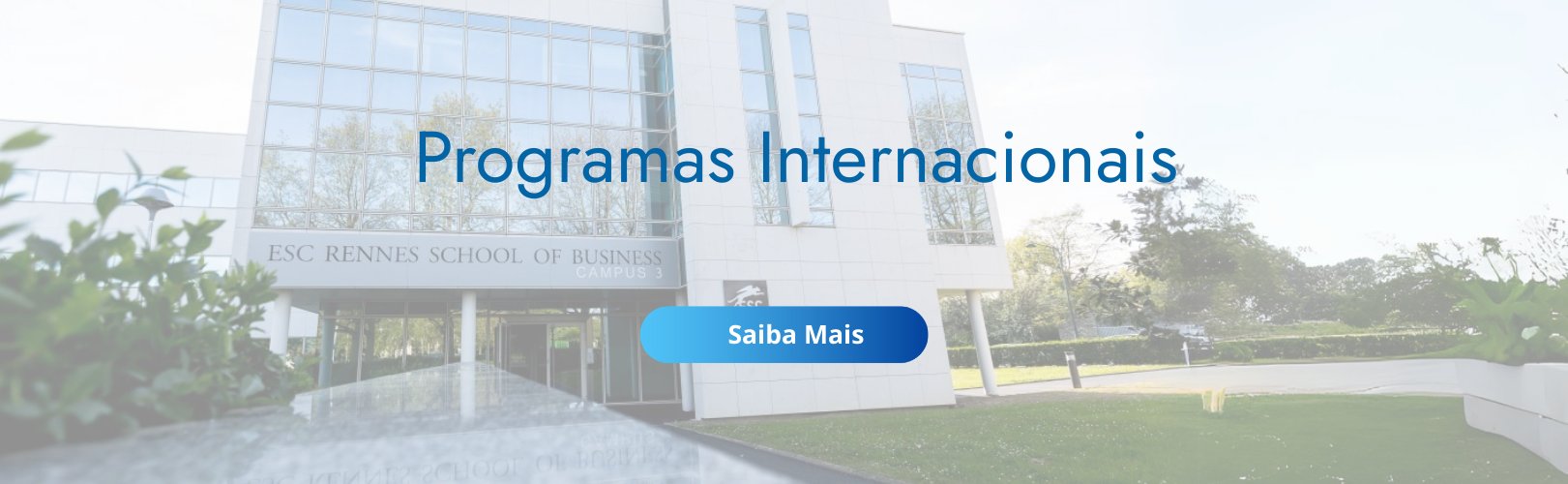 Programas Internacionais